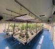 Turnkey GACP Compliant Indoor Cannabis Farm & Facility for Sale – Chonburi, Thailand (Proven EU & AU Export Track Record)