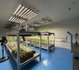 Turnkey GACP Compliant Indoor Cannabis Farm & Facility for Sale – Chonburi, Thailand (Proven EU & AU Export Track Record)