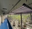 Turnkey GACP Compliant Indoor Cannabis Farm & Facility for Sale – Chonburi, Thailand (Proven EU & AU Export Track Record)
