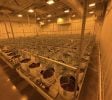 Bay City – Former Operating/Turnkey Cultivation Facility