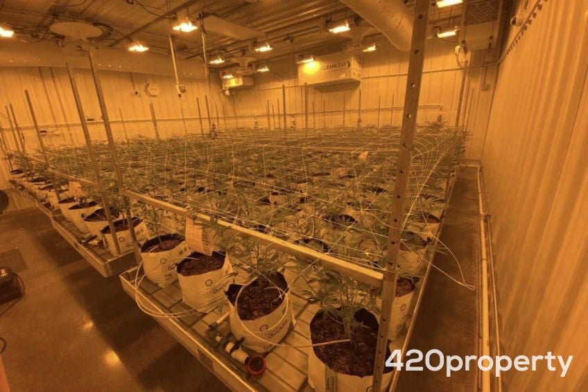 Cannabis Real Estate Listings | Cannabis Greenhouses For Sale