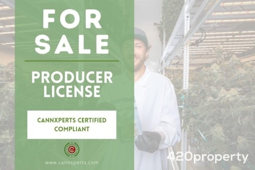 Cannabis Businesses For Sale | Cannabis Cultivation/ Grow Businesses For Sale