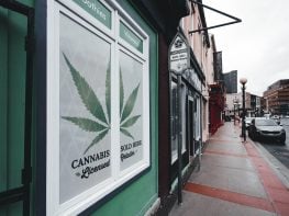 Albany Dispensary Available In Prime Location