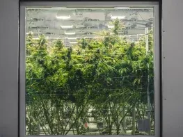 Active North Las Vegas Cultivation + Production | 18,000 SqFt, Irradiation System Included | Option to Purchase Real Estate | Court-Ordered Must Qualify to participate by October 12th subject to court approval (Las Vegas, Nevada) #2109
