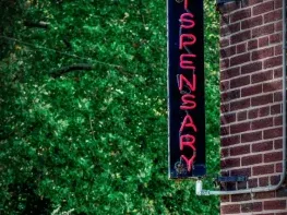 New York Cannabis Retail SEE License For Sale – License Only (New York) #2111