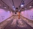 CULTIVATION REAL ESTATE FOR SALE: OWNER-USER OR INVESTMENT SALE | BAY AREA, CA