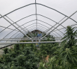 Priced to Sell- Turn-key Business, House, Farm-with 20-acres