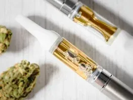 Minnesota Cannabis Microbusiness Opportunity | Paper Only (Minnesota, USA) #2114