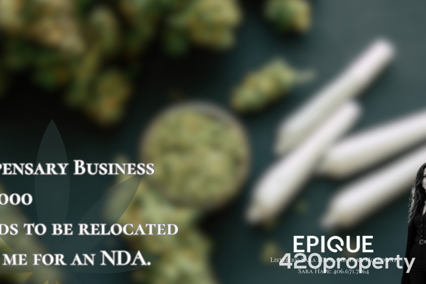 Cannabis Businesses For Sale | Cannabis Retail Stores & Dispensaries For Sale
