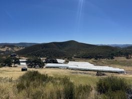 40+ acres with 42,000sf canopy. Fully licensed. Can expand to 2 acres. 100+ gpm well and manufactured house