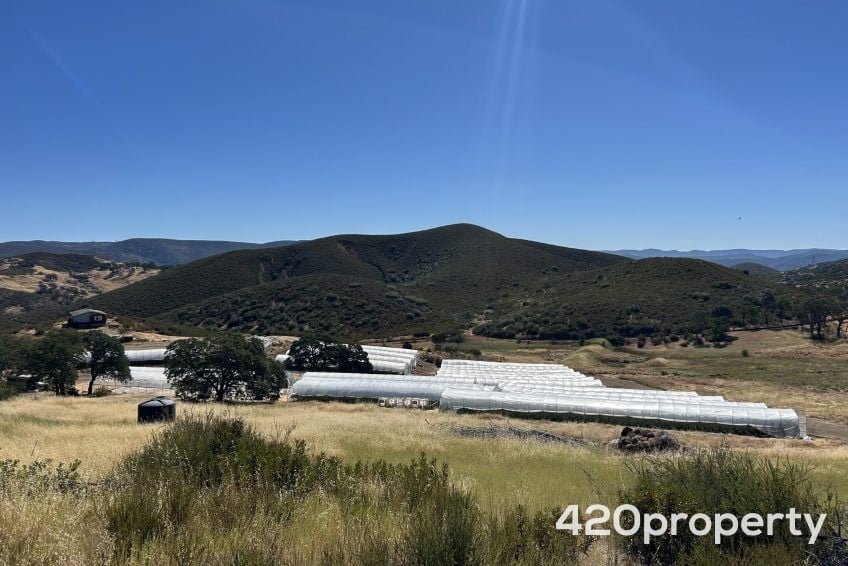 Cannabis Real Estate Listings | Cannabis & Hemp Residential Acreage For Sale