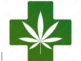 GREAT MICHIGAN DISPENSARY OPPORTUNITY