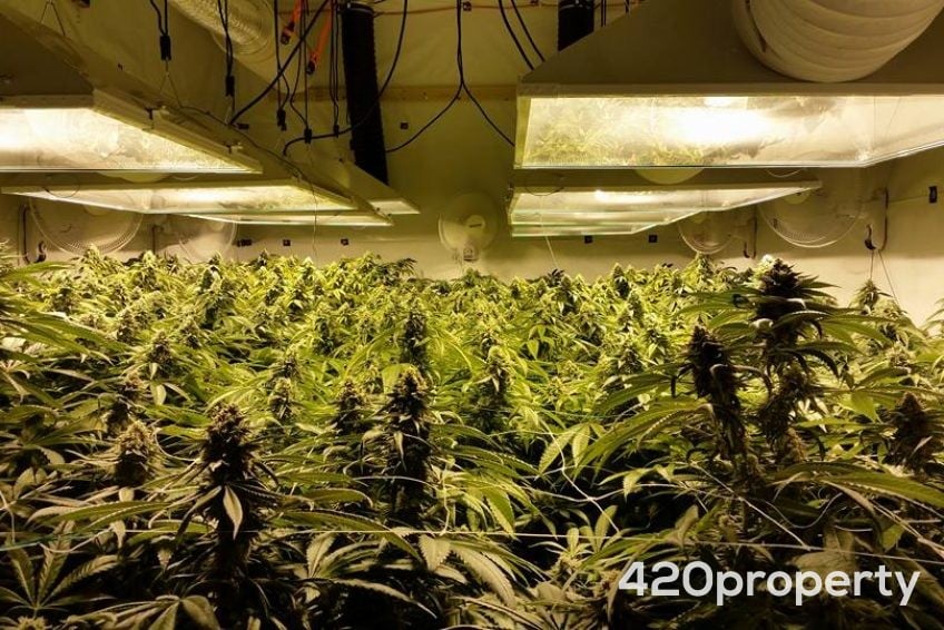 Cannabis Real Estate Listings | Cannabis & Hemp Residential Acreage For Sale