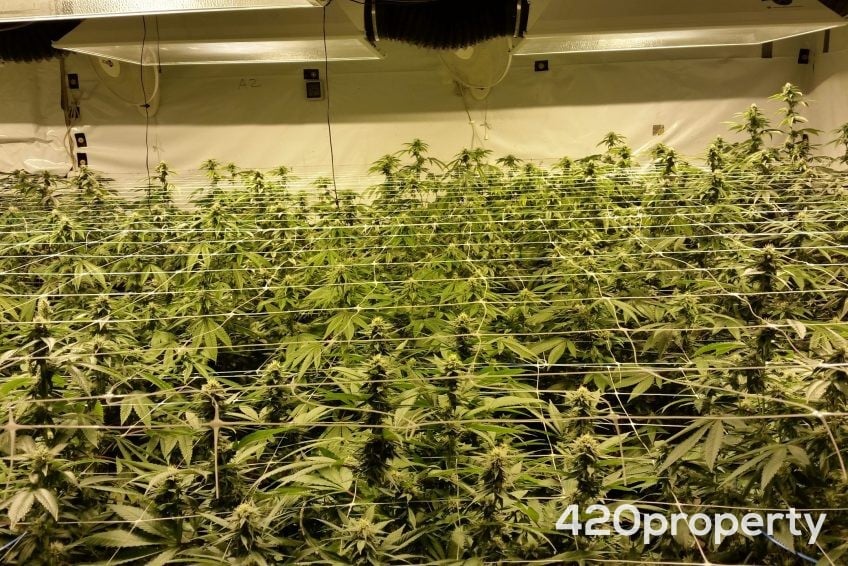 Cannabis Real Estate Listings | Cannabis & Hemp Residential Acreage For Sale
