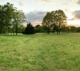 Privacy Right Off the Highway! Mansion and Warehouse Grow Space on Park Like Acreage