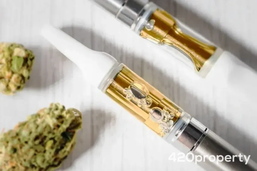 Cannabis Businesses For Sale | Cannabis Cultivation/ Grow Businesses For Sale