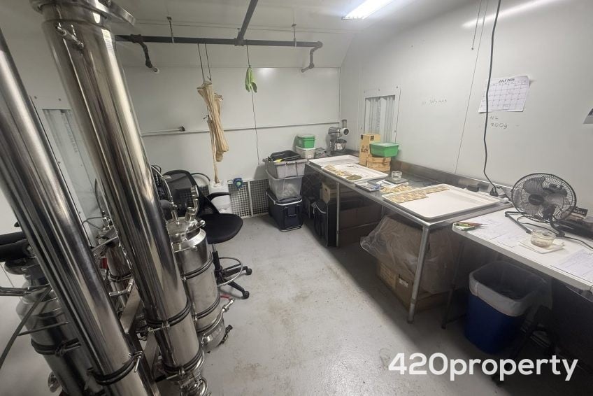 Cannabis Businesses For Sale | Cannabis Cultivation/ Grow Businesses For Sale
