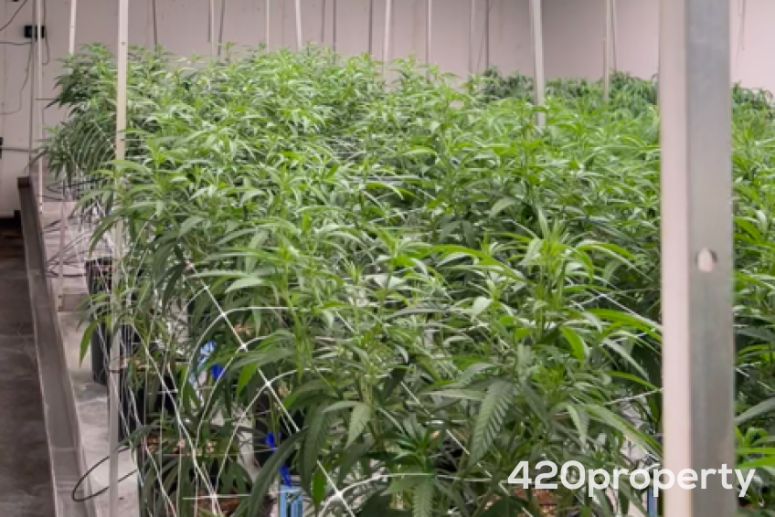 Businesses For Sale | Retail Stores & Dispensaries For Sale