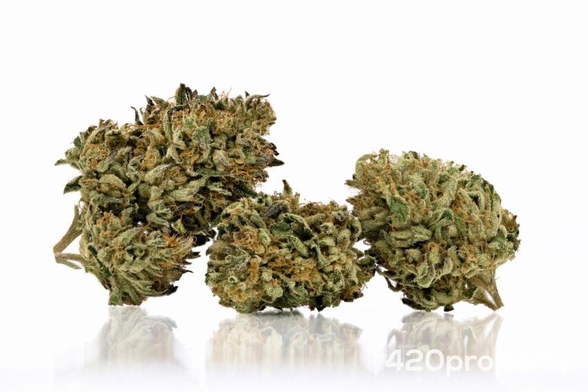 Cannabis Businesses For Sale | Cannabis Business Licenses For Sale