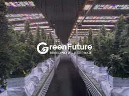 GACP-CERTIFIED MEDICAL CANNABIS CULTIVATION FACILITY FOR SALE IN THAILAND