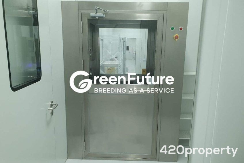 Cannabis Businesses For Sale | Cannabis Cultivation/ Grow Businesses For Sale