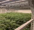 Micro license 2500 sqft
