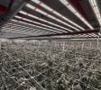 Bartlesville-Area Industrial Complex