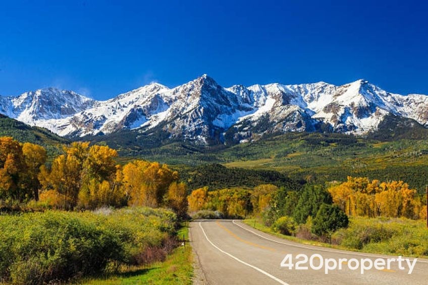 Cannabis Businesses For Sale | Cannabis Retail Stores & Dispensaries For Sale