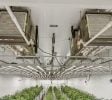 Maine Cannabis Cultivation Facility | 3,982 SF on 4.2 Acres | Bridgton