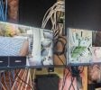 Maine Cannabis Cultivation Facility | 3,982 SF on 4.2 Acres | Bridgton