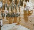 Maine Cannabis Cultivation Facility | 3,982 SF on 4.2 Acres | Bridgton