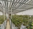 Maine Cannabis Cultivation Facility | 3,982 SF on 4.2 Acres | Bridgton