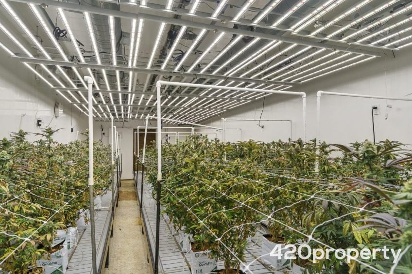 Cannabis Real Estate Listings | Other Commercial Properties for Cannabis Business Use For Sale