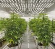 Maine Cannabis Cultivation Facility | 3,982 SF on 4.2 Acres | Bridgton