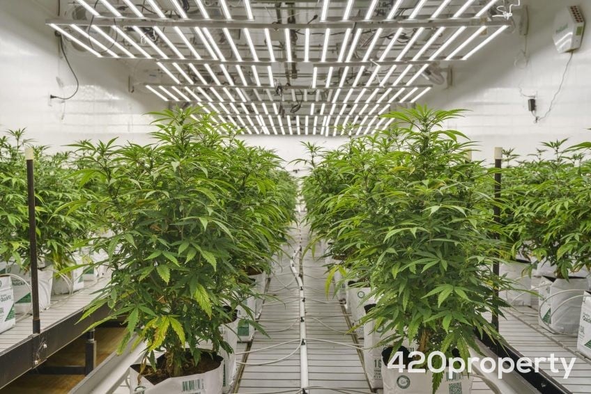 Cannabis Real Estate Listings | Other Commercial Properties for Cannabis Business Use For Sale