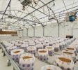 40-Acre Residential & Agricultural Estate | 17,430 SF Automated Cultivation Facility