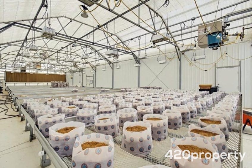 Cannabis Real Estate Listings | Cannabis Greenhouses For Sale
