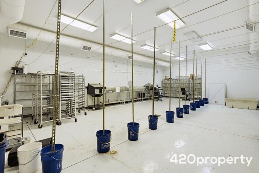 Cannabis Real Estate Listings | Cannabis Greenhouses For Sale